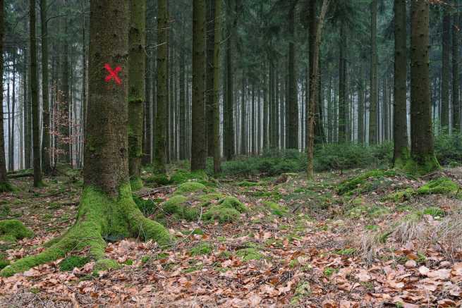 Zwolnienie ADR na podstawie ilości, przewożenie opakowań pod ciśnieniem