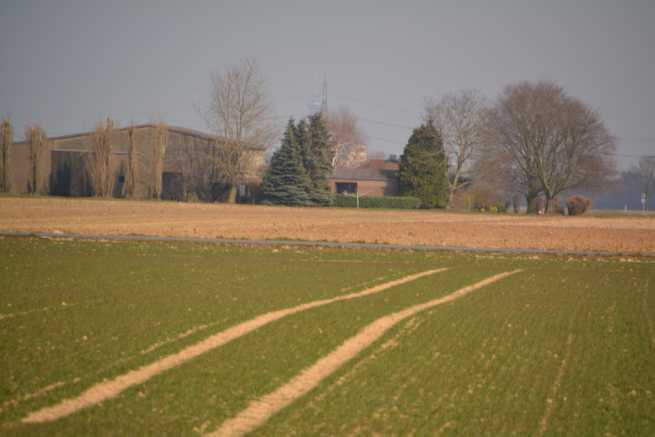 Kupno 4/5 udziałów w działce rolnej, co z piątym właścicielem?