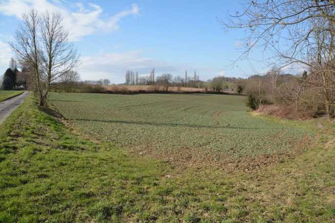 Samosiejki na działce rolnej w parku krajobrazowym, czy wolno je usunąć bez zgody?