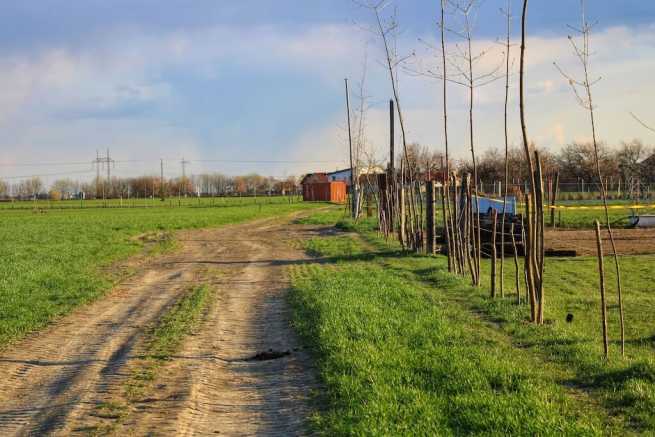 Brak rzeczywistego dostępu do drogi po zakupie działki, co zrobić w takiej sytuacji