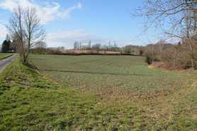 Samosiejki na działce rolnej w parku krajobrazowym, czy wolno je usunąć bez zgody?