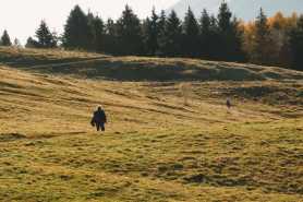 Zalewanie działki przez wodę z drogi i gruntów sąsiednich, jakie prawa przysługują właścicielowi?