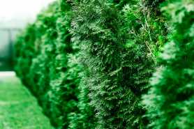 Spór graniczny i naruszenie prawa własności