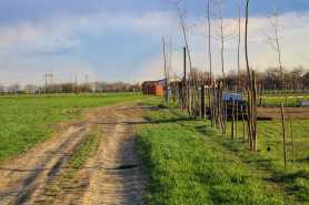 Brak rzeczywistego dostępu do drogi po zakupie działki, co zrobić w takiej sytuacji